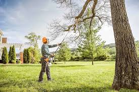 Best Soil Testing and Treatment  in Skyline Ganipa, NM
